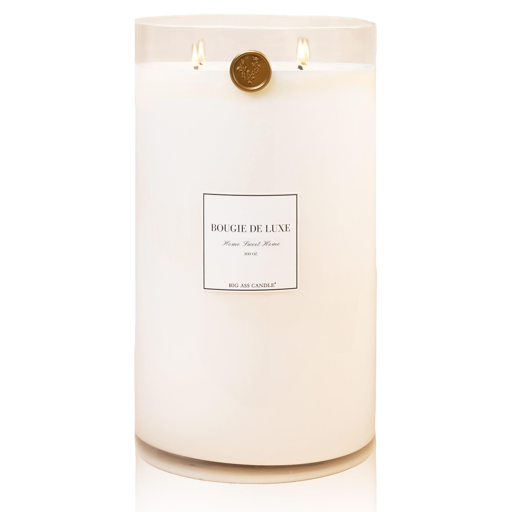 MASSIVE 8" × 14" LUXURY CANDLE – 300 OZ