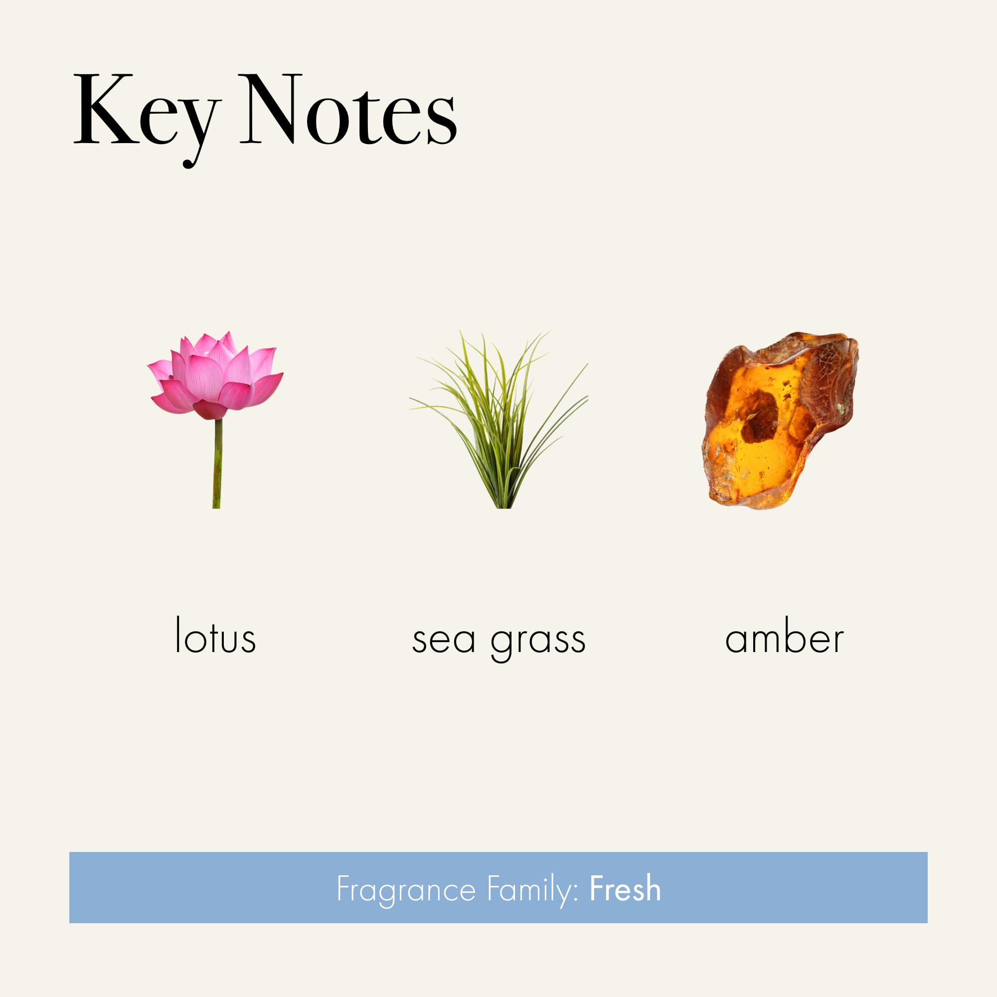 Luxe 4-Wick Candle, Sea & Dune - 86 oz